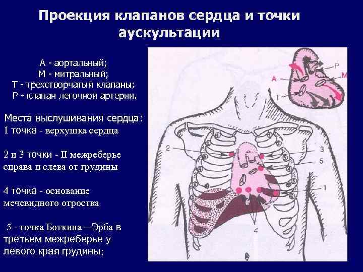 Проекция клапанов