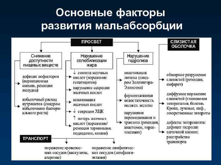 Основные факторы развития мальабсорбции 