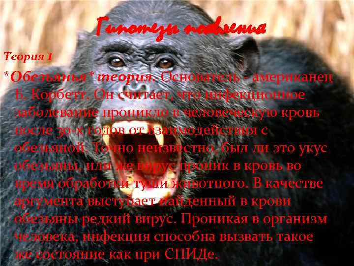 Гипотезы появления Теория 1 *Обезьянья* теория. Основатель - американец Б. Корбетт. Он считает, что