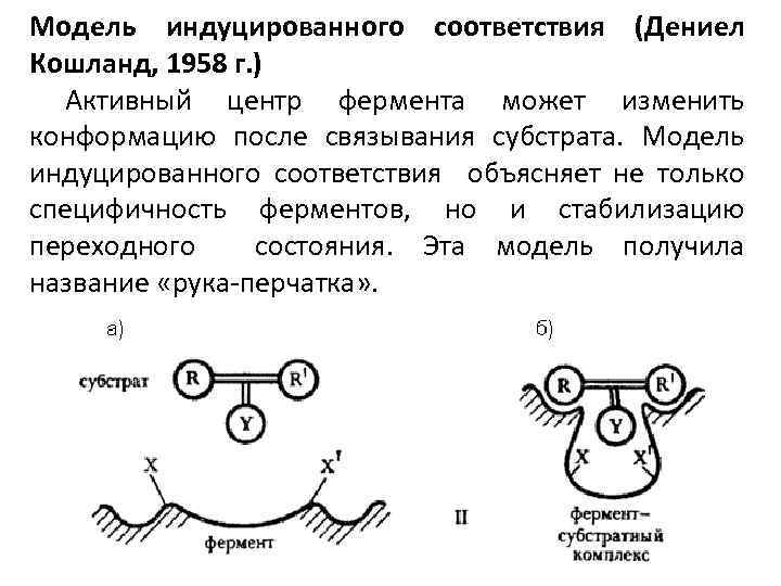 Индуцирующий эффект. Теория индуцированного соответствия фермента. Модель индуцированного соответствия. Модель индуцированного соответствия ферменты. Теория индуцированного соответствия Кошланда.