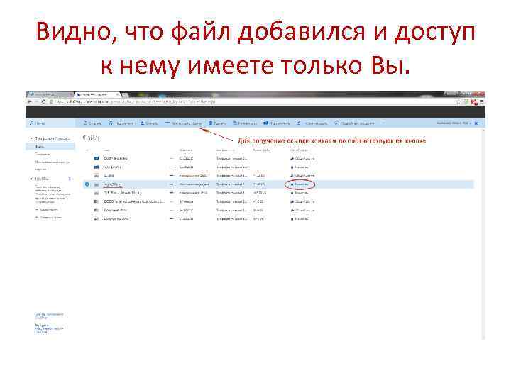 Видно, что файл добавился и доступ к нему имеете только Вы. 