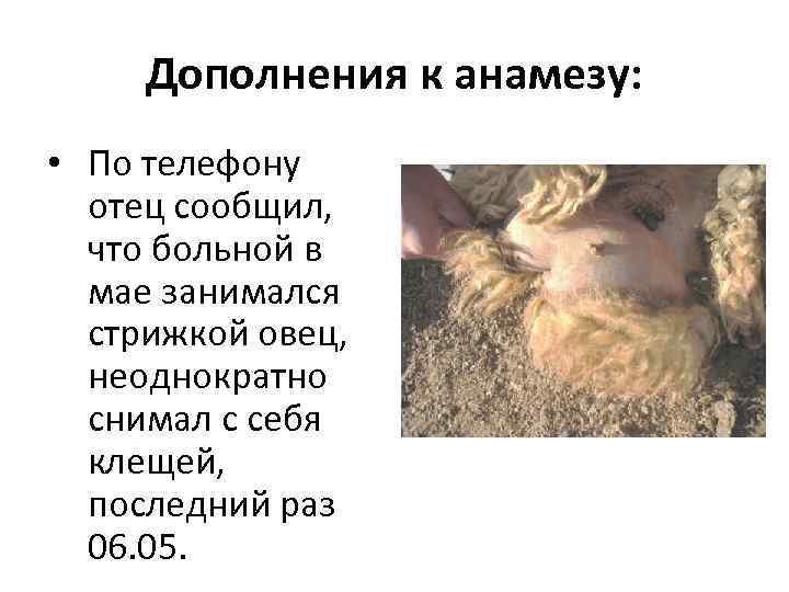 Дополнения к анамезу: • По телефону отец сообщил, что больной в мае занимался стрижкой