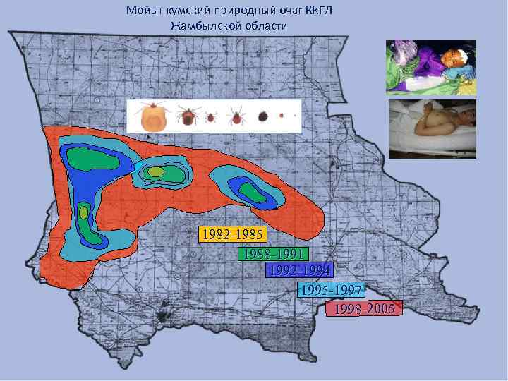 Мойынкумский природный очаг ККГЛ Жамбылской области 1982 -1985 1988 -1991 1992 -1994 1995 -1997