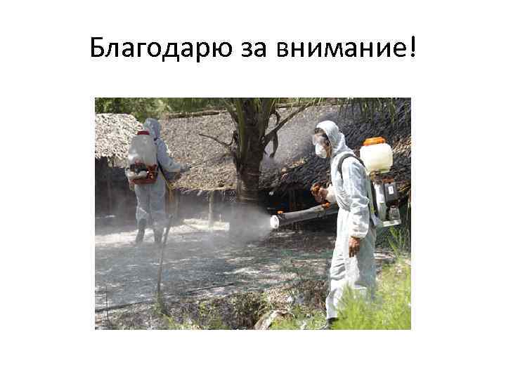 Благодарю за внимание! 