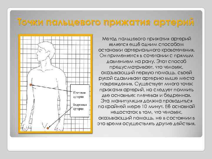 Точки пальцевого прижатия артерий Метод пальцевого прижатия артерий является ещё одним способом остановки артериального