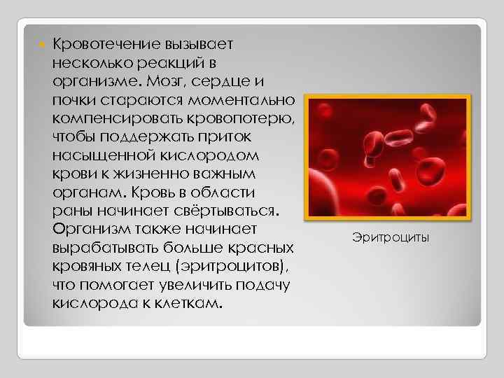  Кровотечение вызывает несколько реакций в организме. Мозг, сердце и почки стараются моментально компенсировать