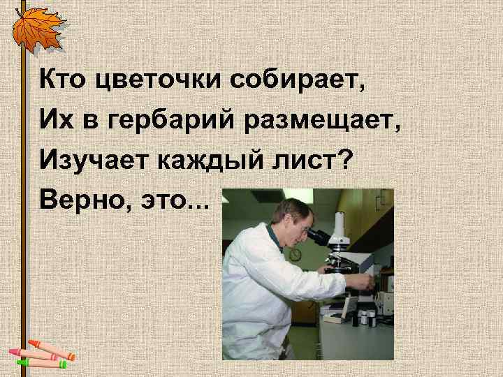 Кто цветочки собирает, Их в гербарий размещает, Изучает каждый лист? Верно, это. . .