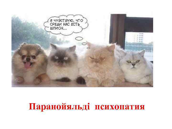 Паранойяльді психопатия 