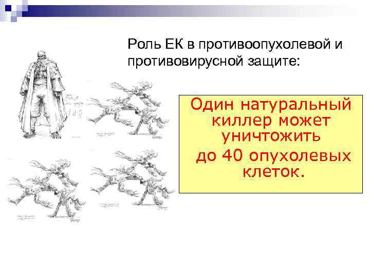 Роль ЕК в противоопухолевой и противовирусной защите: Один натуральный киллер может уничтожить до 40