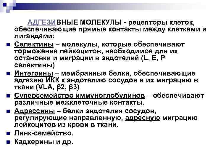 n n n АДГЕЗИВНЫЕ МОЛЕКУЛЫ - рецепторы клеток, обеспечивающие прямые контакты между клетками и