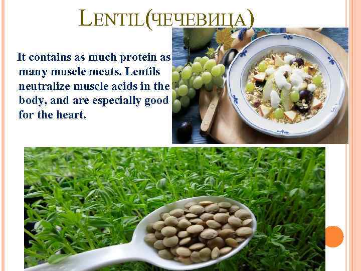 LENTIL(ЧЕЧЕВИЦА) It contains as much protein as many muscle meats. Lentils neutralize muscle acids