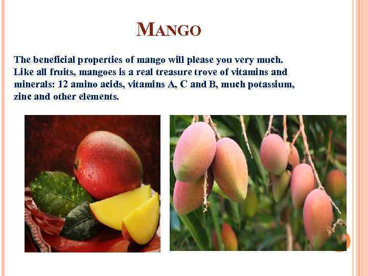 MANGO The beneficial properties of mango will please you very much. Like all fruits,