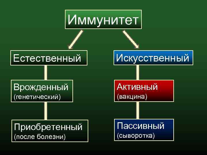 Вид искусственного иммунитета после вакцинации. Приобретенный искусственный пассивный иммунитет. Активный и пассивный иммунитет. Приобретенный активный иммунитет. Активный пассивный врожденный иммунитет.