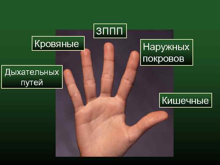 ЗППП Кровяные Наружных покровов Дыхательных путей Кишечные 