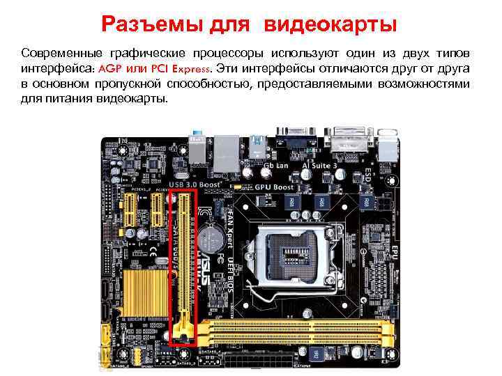 Разъемы для видеокарты Современные графические процессоры используют один из двух типов интерфейса: AGP или