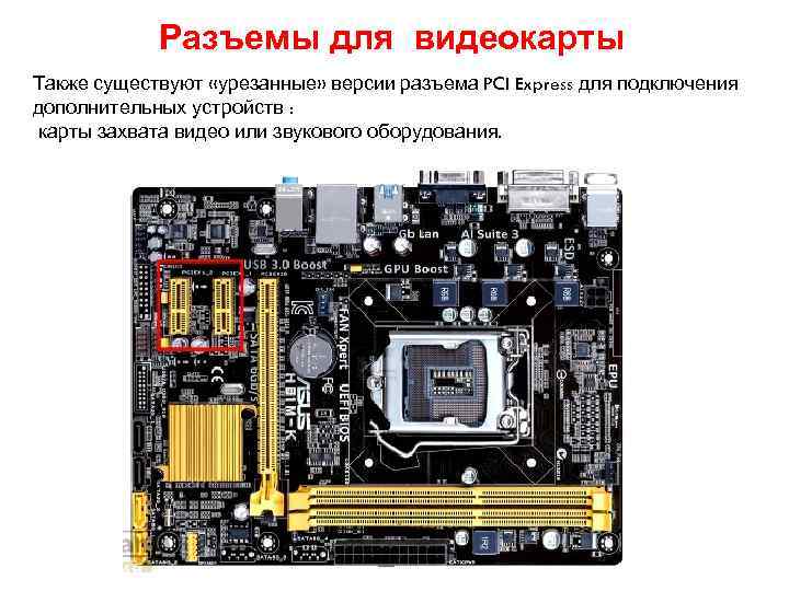 Разъемы для видеокарты Также существуют «урезанные» версии разъема PCI Express для подключения дополнительных устройств