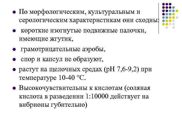 l l l По морфологическим, культуральным и серологическим характеристикам они сходны: короткие изогнутые подвижные