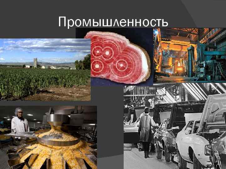 Промышленность 