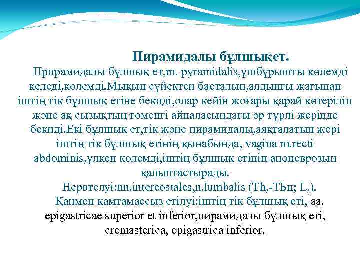  Пирамидалы бұлшықет. Прирамидалы бұлшық ет, m. pyramidalis, үшбұрышты көлемді келеді, көлемді. Мықын сүйектен