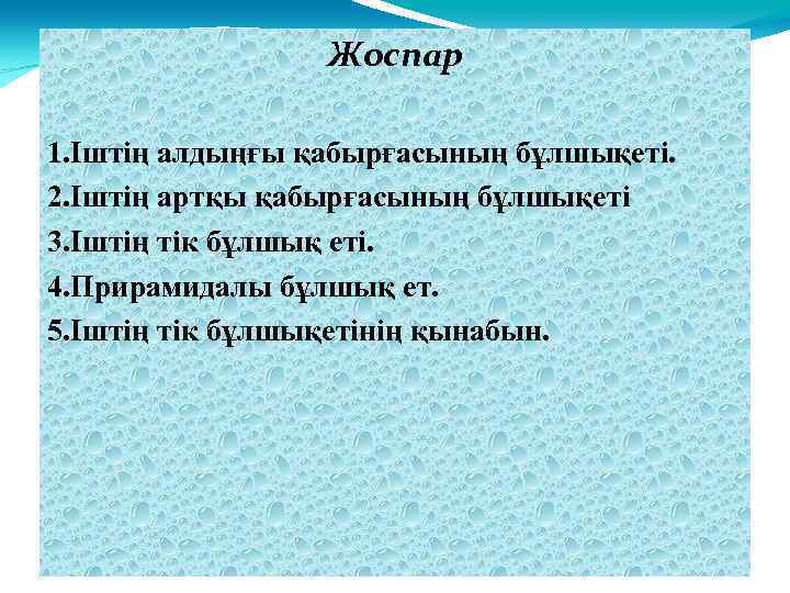 Жоспар : 1. Іштің алдыңғы қабырғасының бұлшықеті. 2. Іштің артқы қабырғасының бұлшықеті 3. Іштің