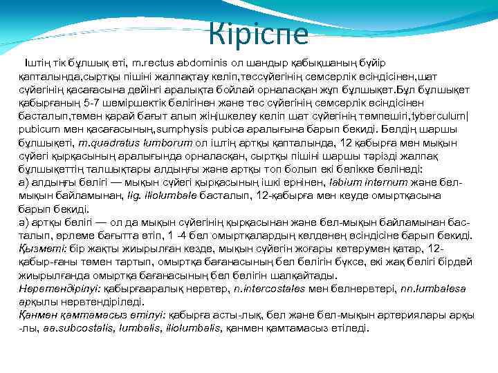 Кіріспе Іштің тік бұлшық еті, m. rectus abdominis ол шандыр қабықшаның бүйір қапталында, сыртқы