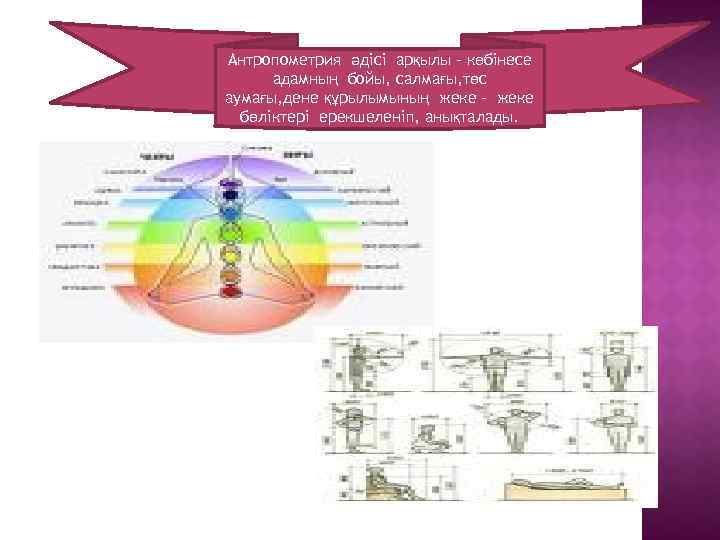 Антропометрия әдісі арқылы - көбінесе адамның бойы, салмағы, төс аумағы, дене құрылымының жеке -