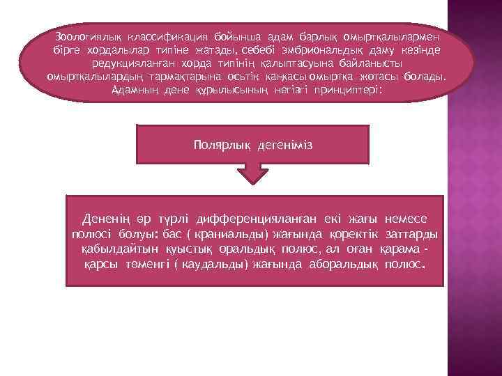 Зоологиялық классификация бойынша адам барлық омыртқалылармен бірге хордалылар типіне жатады, себебі эмбриональдық даму кезінде