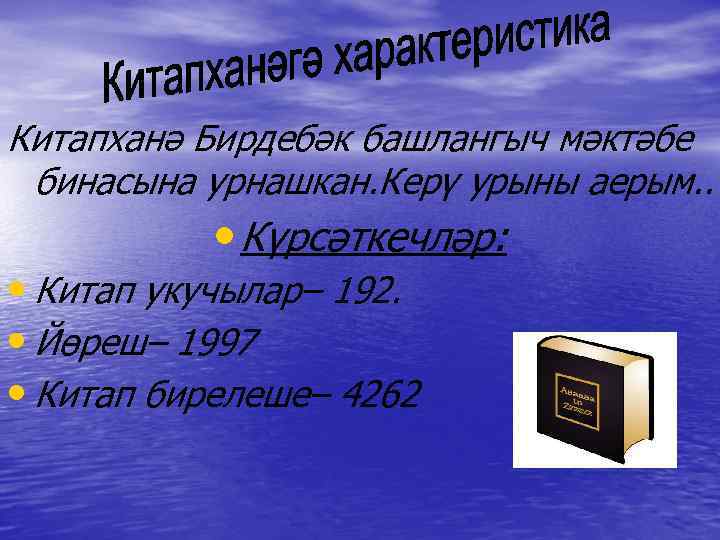 Китапханә Бирдебәк башлангыч мәктәбе бинасына урнашкан. Керү урыны аерым. . • Күрсәткечләр: • Китап