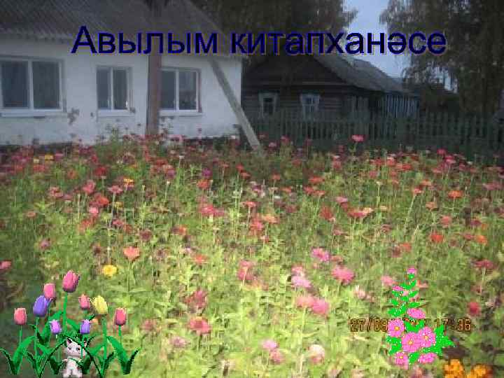 Авылым китапханәсе 