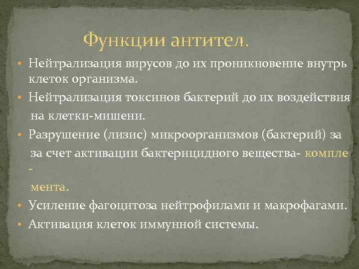 Функции антител. • Нейтрализация вирусов до их проникновение внутрь • • клеток организма. Нейтрализация