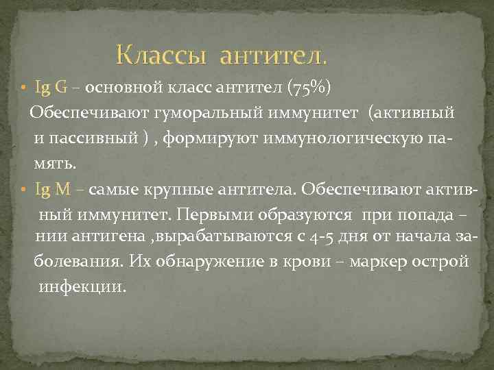 Классы антител. • Ig G – основной класс антител (75%) Обеспечивают гуморальный иммунитет (активный