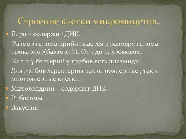 Строение клетки микромицетов. . Ядро – содержит ДНК. Размер генома приближается к размеру генома