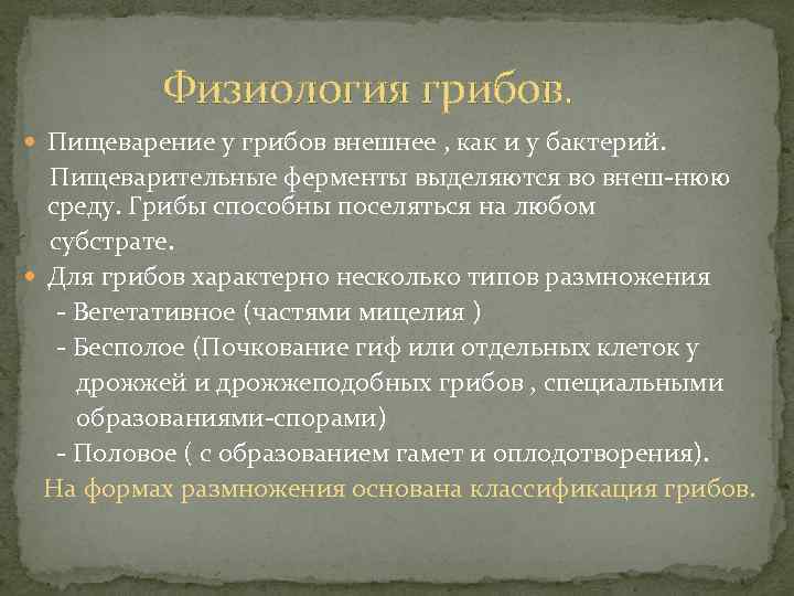 Физиология грибов. Пищеварение у грибов внешнее , как и у бактерий. Пищеварительные ферменты выделяются