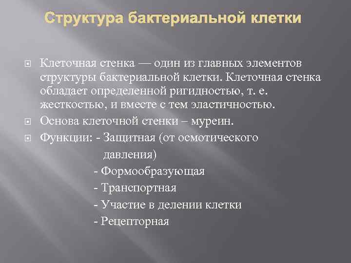 Структура бактериальной клетки Клеточная стенка — один из главных элементов структуры бактериальной клетки. Клеточная