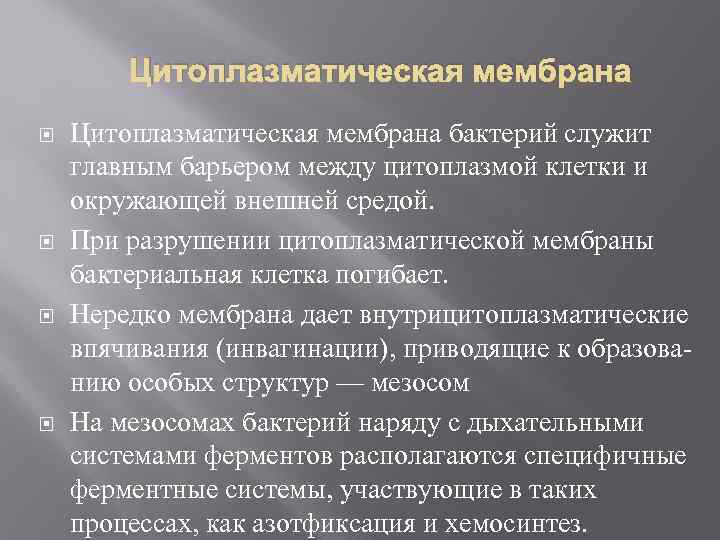 Цитоплазматическая мембрана Цитоплазматическая мембрана бактерий служит главным барьером между цитоплазмой клетки и окружающей внешней