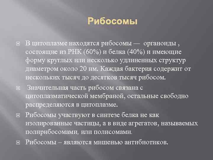 Рибосомы В цитоплазме находятся рибосомы — органоиды , состоящие из РНК (60%) и белка