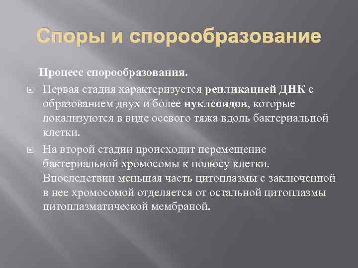 Споры и спорообразование Процесс спорообразования. Первая стадия характеризуется репликацией ДНК с образованием двух и