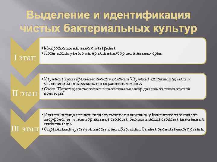 Выделение и идентификация чистых бактериальных культур I этап III этап • Микроскопия нативного материала