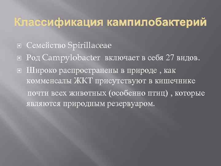 Классификация кампилобактерий Семейство Spirillaceae Род Campylobacter включает в себя 27 видов. Широко распространены в