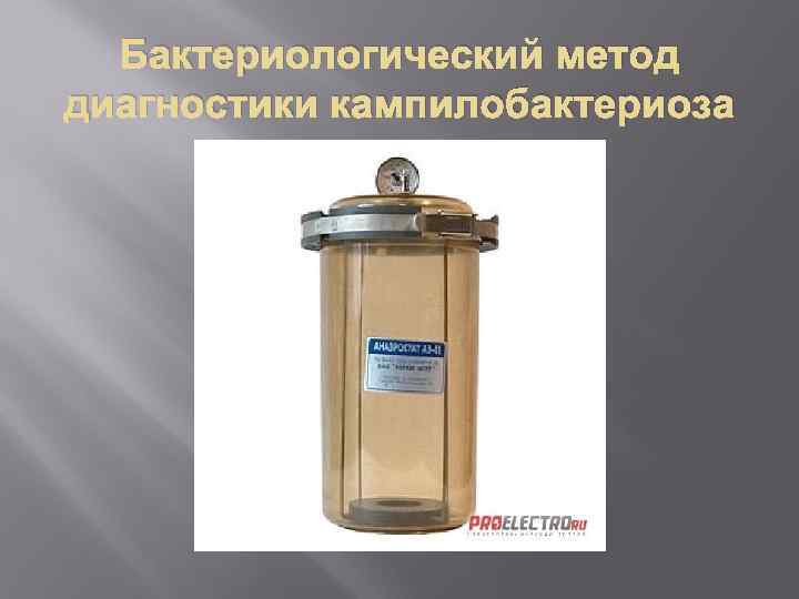 Бактериологический метод диагностики кампилобактериоза 