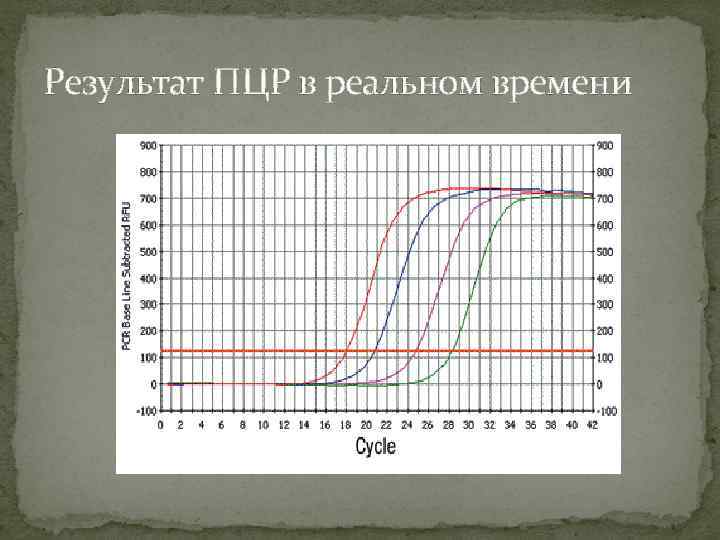 Результат ПЦР в реальном времени 