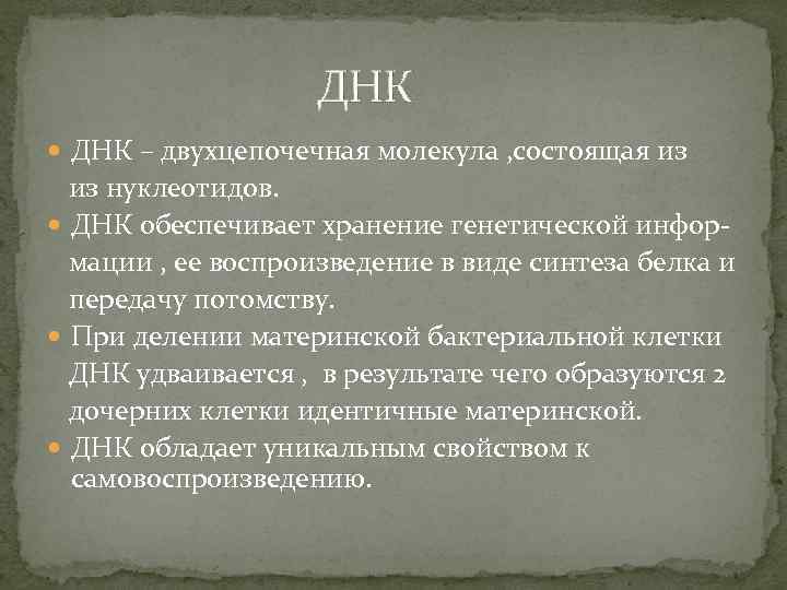 ДНК – двухцепочечная молекула , состоящая из из нуклеотидов. ДНК обеспечивает хранение генетической информации