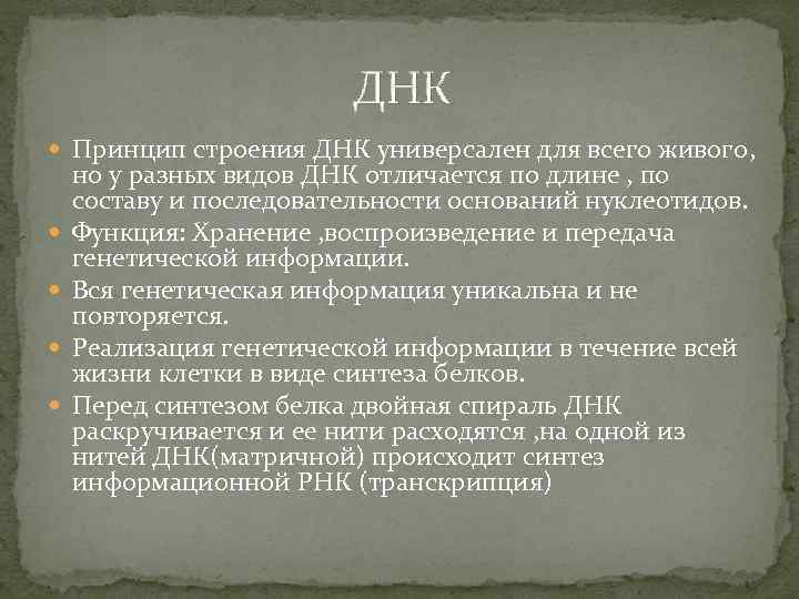 ДНК Принцип строения ДНК универсален для всего живого, но у разных видов ДНК отличается