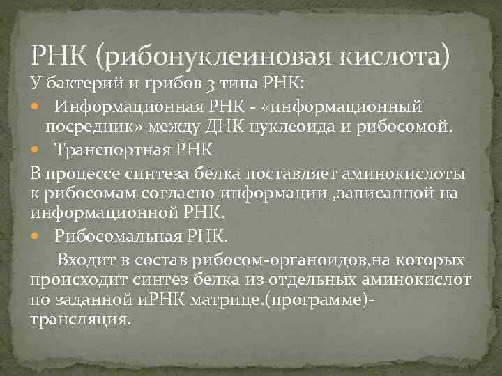 РНК (рибонуклеиновая кислота) У бактерий и грибов 3 типа РНК: Информационная РНК - «информационный