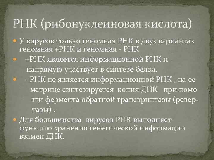 РНК (рибонуклеиновая кислота) У вирусов только геномная РНК в двух вариантах геномная +РНК и