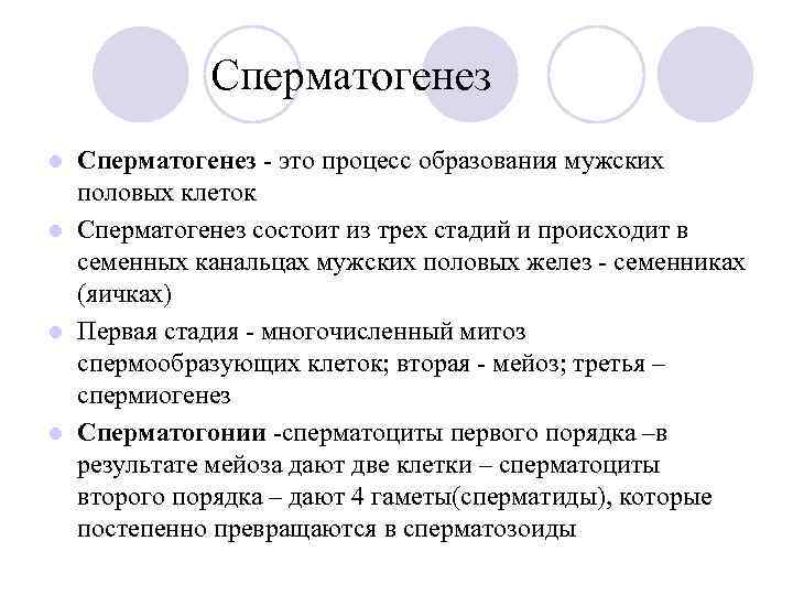 Сперматогенез - это процесс образования мужских половых клеток l Сперматогенез состоит из трех стадий