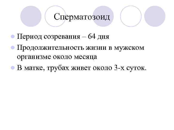 Сперматозоид l Период созревания – 64 дня l Продолжительность жизни в мужском организме около