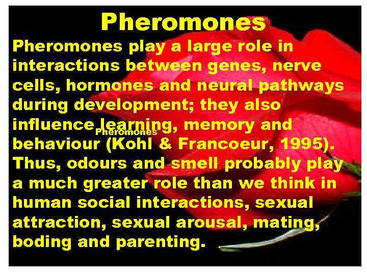 Pheromones play a large role in interactions between genes, nerve cells, hormones and neural