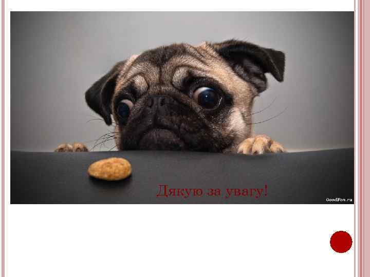 Дякую за увагу! 