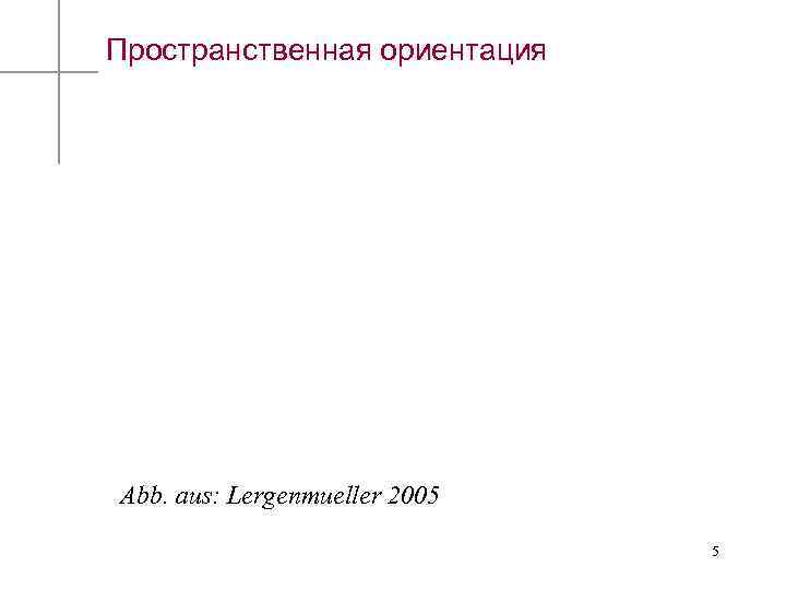 Пространственная ориентация Abb. aus: Lergenmueller 2005 5 